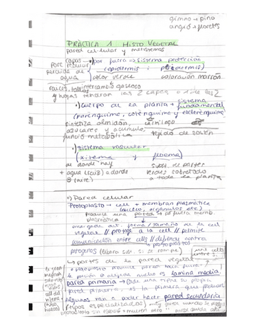 Practiques-histo-vegetal.pdf