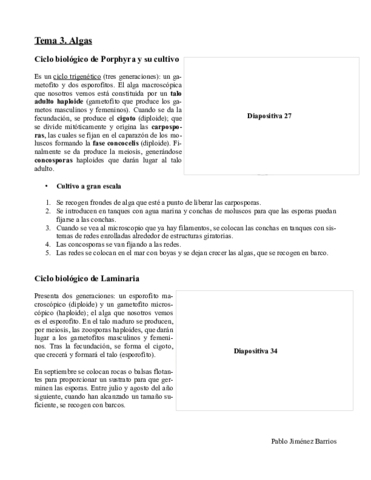 Tema 3. Algas.pdf