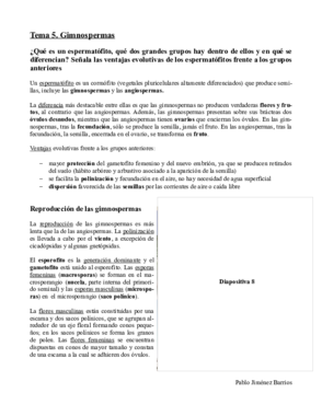 Tema 5. Gimnospermas.pdf