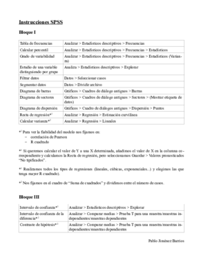 Instrucciones SPSS.pdf