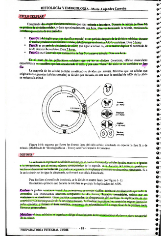 MIS-APUNTES-BIOESTADISTICA-39.pdf