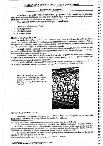 MIS-APUNTES-BIOESTADISTICA-41.pdf