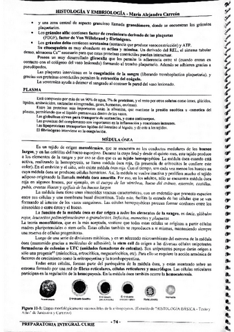 MIS-APUNTES-BIOESTADISTICA-43.pdf