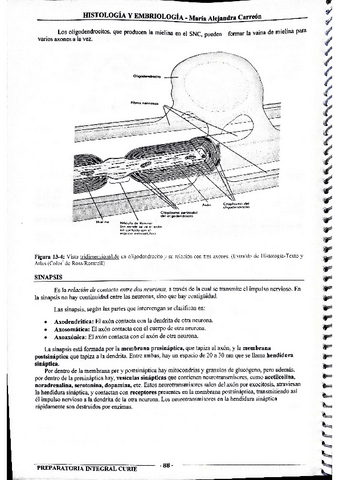 MIS-APUNTES-BIOESTADISTICA-44.pdf