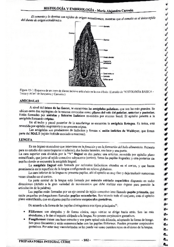 MIS-APUNTES-BIOESTADISTICA-45.pdf