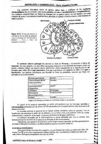 MIS-APUNTES-BIOESTADISTICA-46.pdf