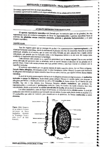 MIS-APUNTES-BIOESTADISTICA-48.pdf