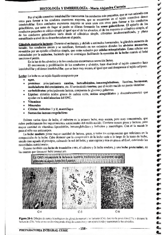 MIS-APUNTES-BIOESTADISTICA-49.pdf