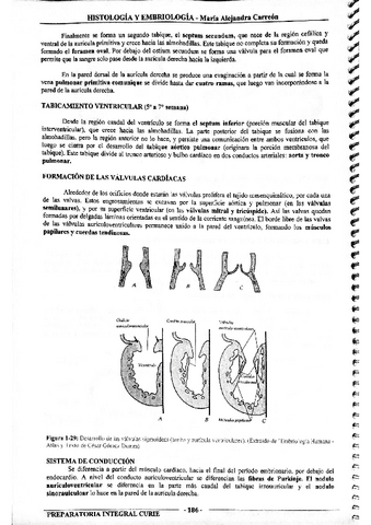 MIS-APUNTES-BIOESTADISTICA-51.pdf