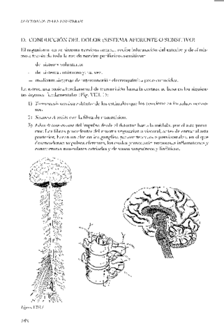 Electroterapia-en-Fisioterapia-2da-Ed-by-Jose-Maria-Rodriguez-Martin-z-liborg-16.pdf