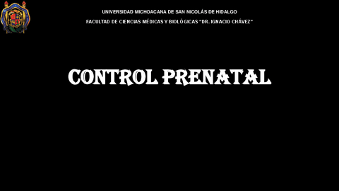 Control-prenatal.pdf