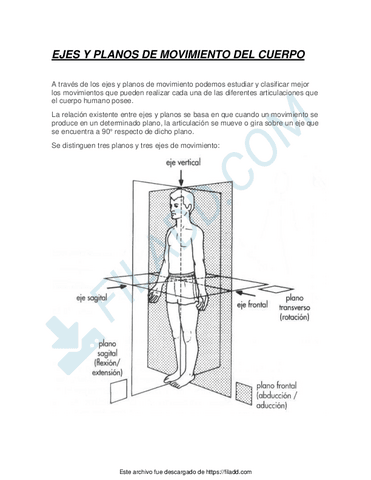 EJES-Y-PLANOS-DE-MOVIMIENTO-DEL-CUERPO.pdf