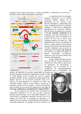 2Genetica-molecular-autor-Curso-de-biologia-4.pdf