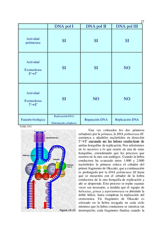 6Genetica-molecular-autor-Curso-de-biologia-3.pdf