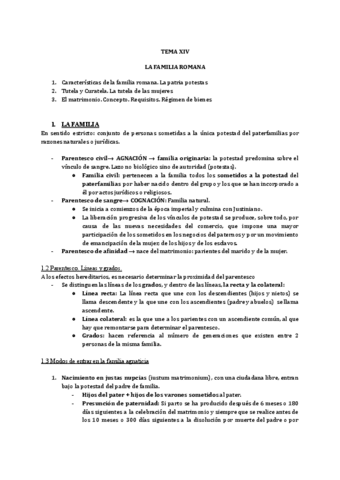 TEMA-XIV.pdf
