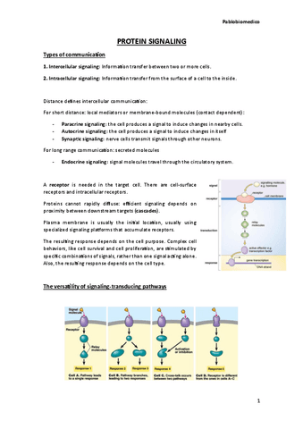 Protein-Signaling.pdf