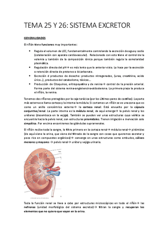 TEMA-25-31-FISIOL.pdf