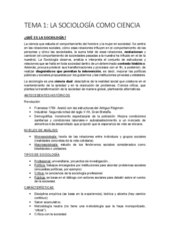 TEMAS-SOCIOLOGIA.pdf