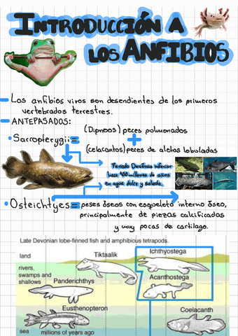 Antepasados-de-los-anfibios-230126020034.pdf