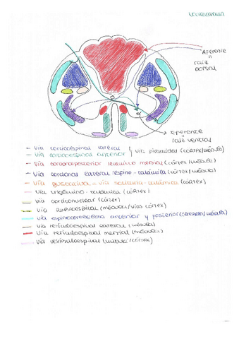 esquemas-vias-jorgecobo.pdf