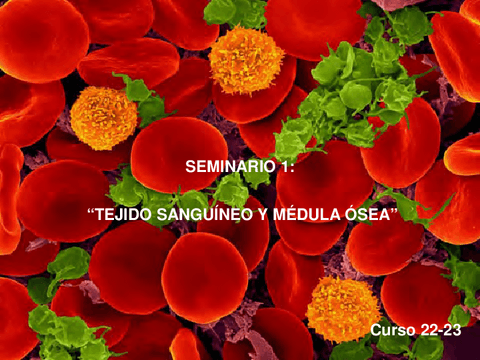 1.-Seminario-SangreMOR.pdf