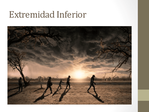 Extremidad-inferior.pdf