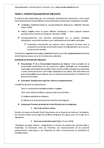 TEMA-5-PSI-SOCIAL.pdf