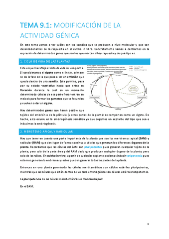 TEMA-9.1-plantas.pdf