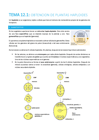 TEMA-12.1-plantas.pdf