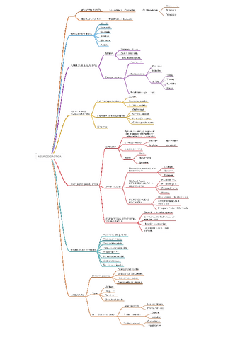 ESQUEMA-CONTENIDO-EXAMEN-NEURODIDACTICA.pdf