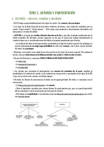 Tema-7.-Autoria-y-participacion.pdf