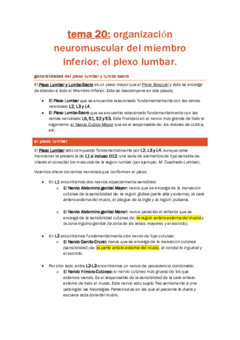 TEMA 20. SISTEMAS NEUROMUSCULARES DEL PLEXO LUMBAR..pdf