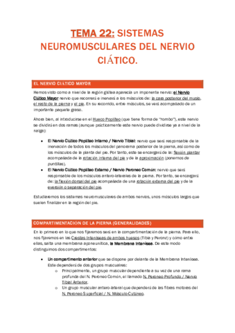 TEMA 22. SISTEMA NEUROMUSCULAR DEL NERVIO CIÁTICO.pdf