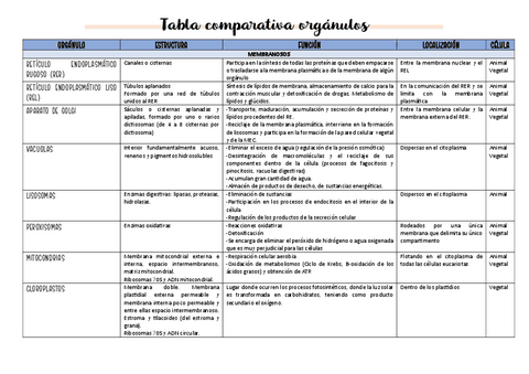 Tabla-organulos.pdf