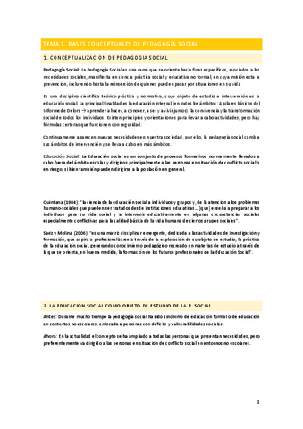 TEMAS-APUNTES.pdf