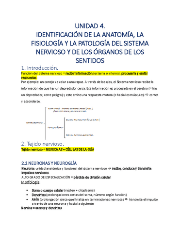 pdf-TEMA-4-ANATOMIA.pdf