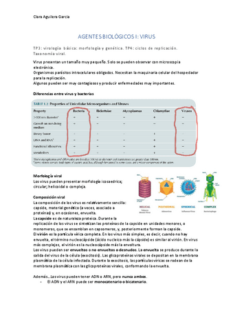 agentes-biologicos-virus.pdf