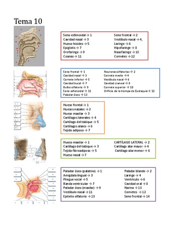 Imagenes-3r-parcial.pdf