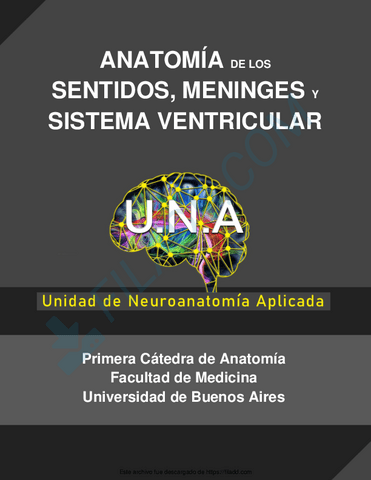 CIRCUITO-SENTIDOS-MENINGES-Y-SISTEMA-VENTRICULAR.pdf