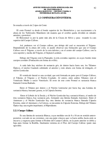Apuntes-neuro-5.pdf