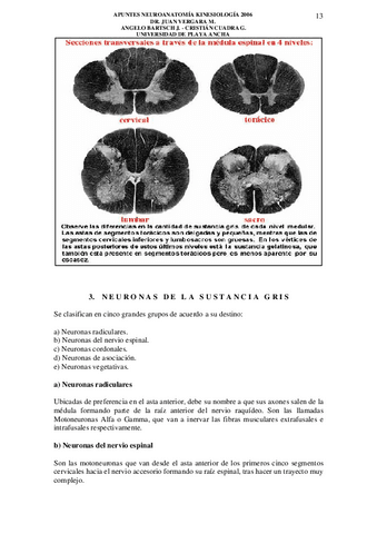 Apuntes-neuro-8.pdf