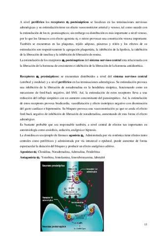 Apuntes-neuro-2.pdf