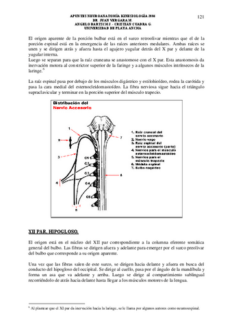 Apuntes-neuro-4.pdf