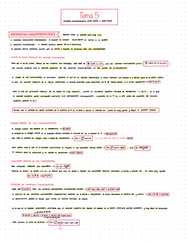 Apuntes-tema-5.pdf