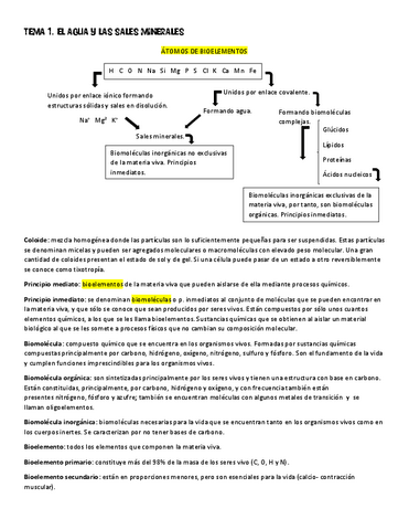 AGUA-Y-SALES MINERALES.pdf
