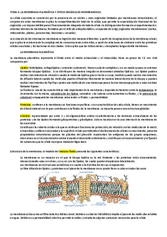 ORGANULOS-MEMBRANOSOS.pdf