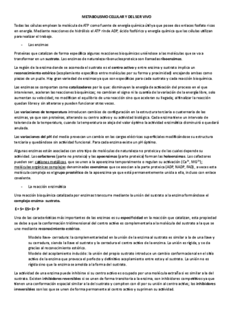 METABOLISMO.pdf