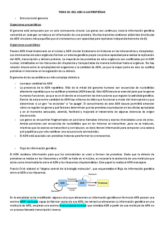 DEL-ADN-A-LAS-PROTEINAS.pdf