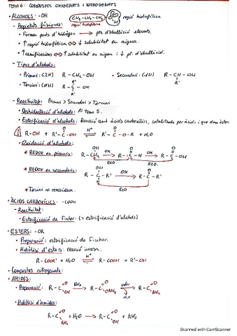 T6-Compostos-oxigenats-nitrogenats.pdf