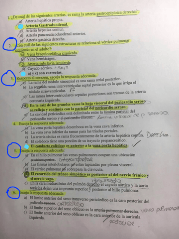 AN2-CEU-TEST-Examenes-Anato-II-2ex.pdf